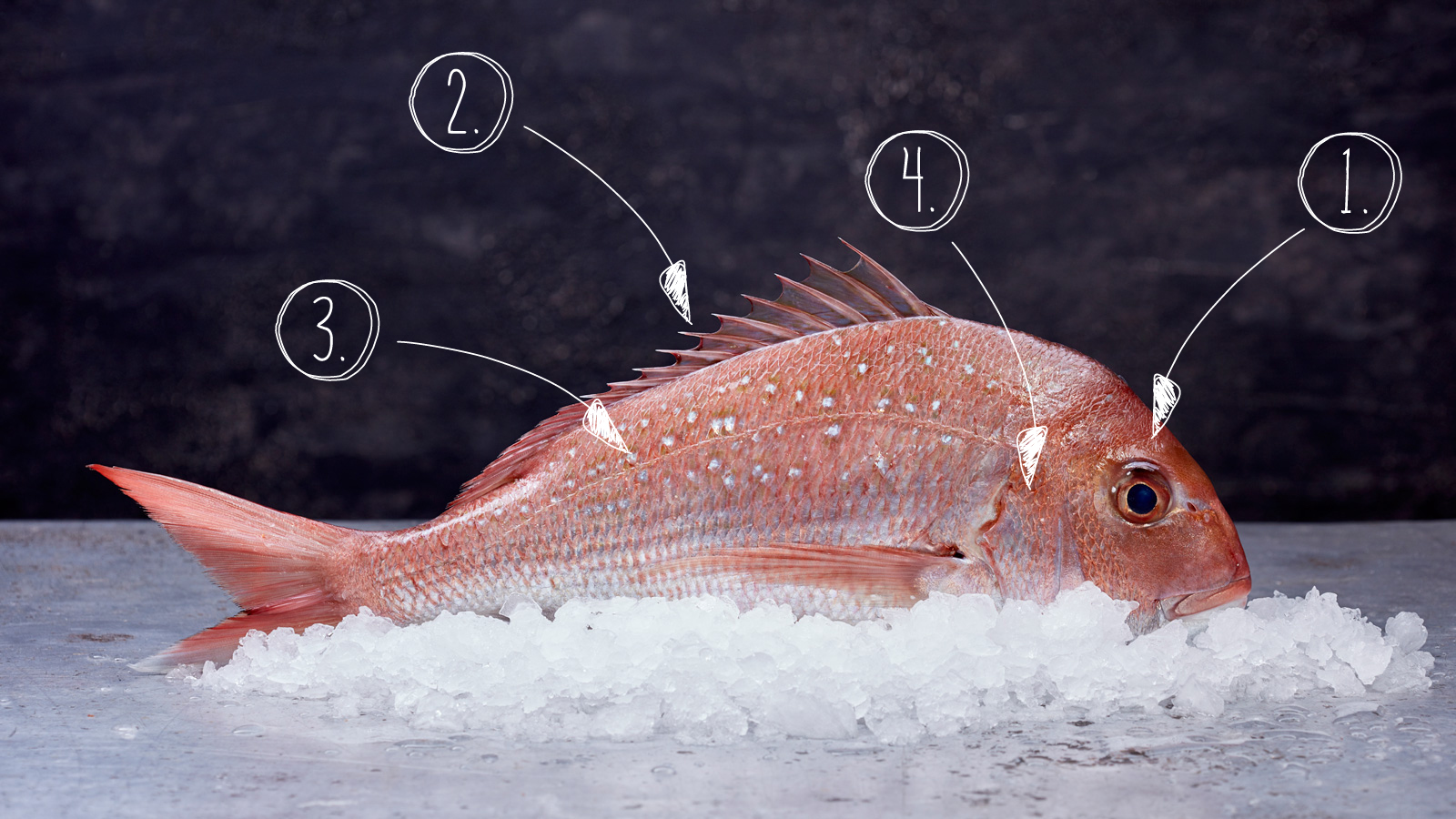 How to tell if a fish is fresh