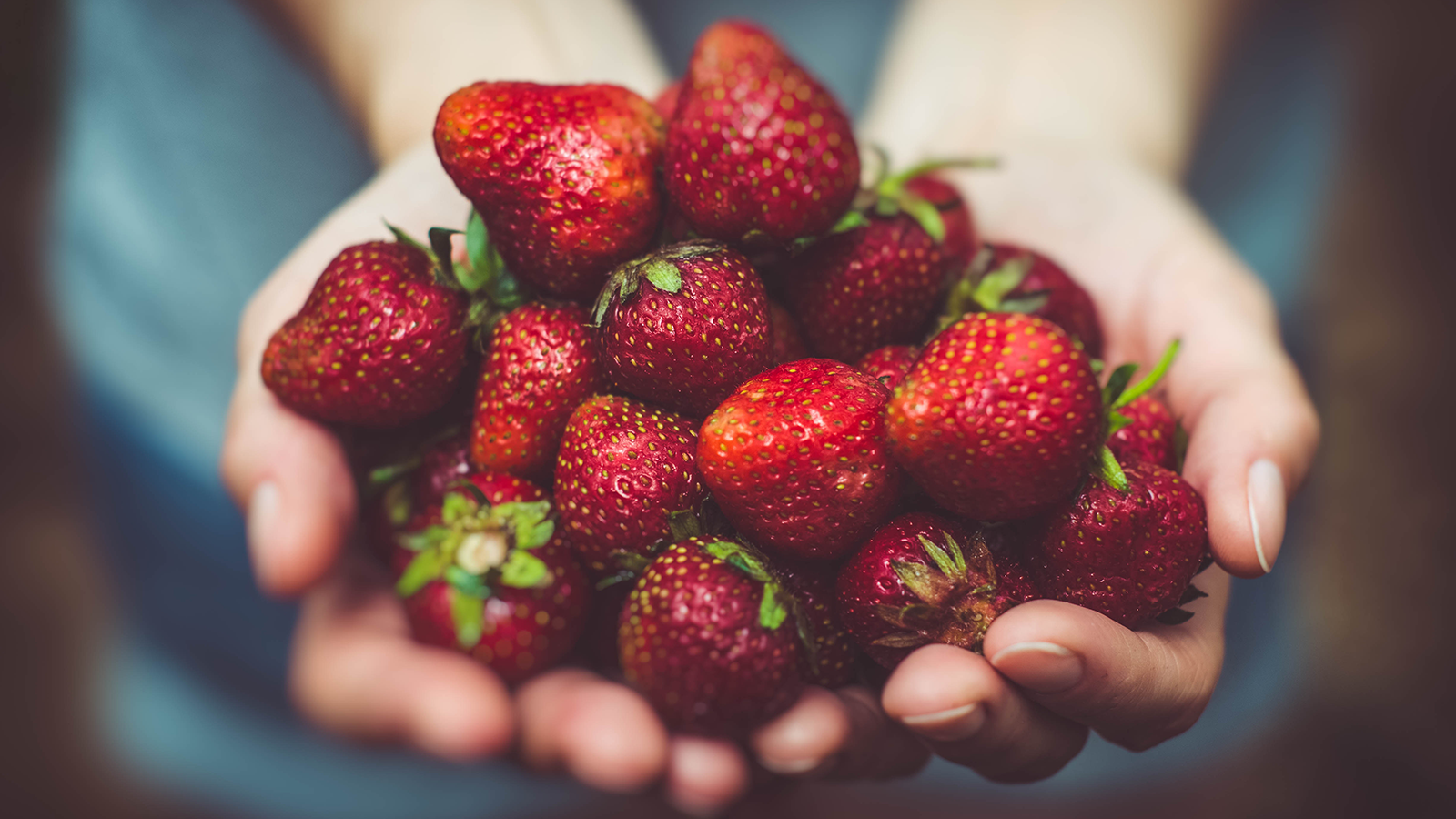 https://theneffkitchen.com.au/wp-content/uploads/2017/12/NEFF_feature_how_to_grow_strawberries.png