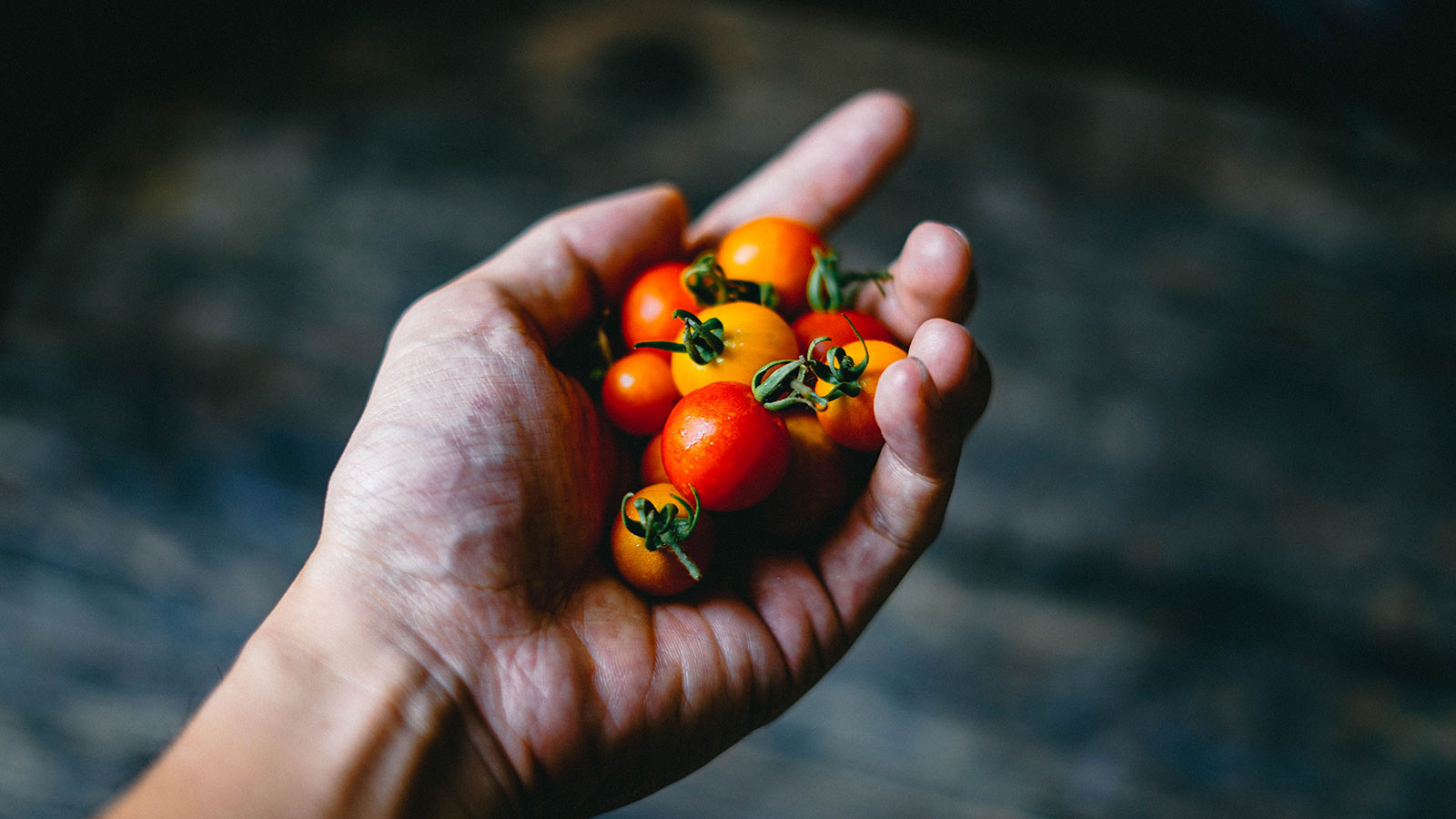 Is a Tomato a Fruit or a Vegetable?