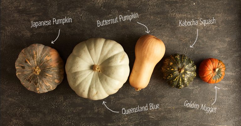 A guide to different types of pumpkin | The Neff Kitchen